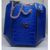 WGI BAG