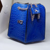 WGI BAG