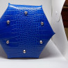 WGI BAG